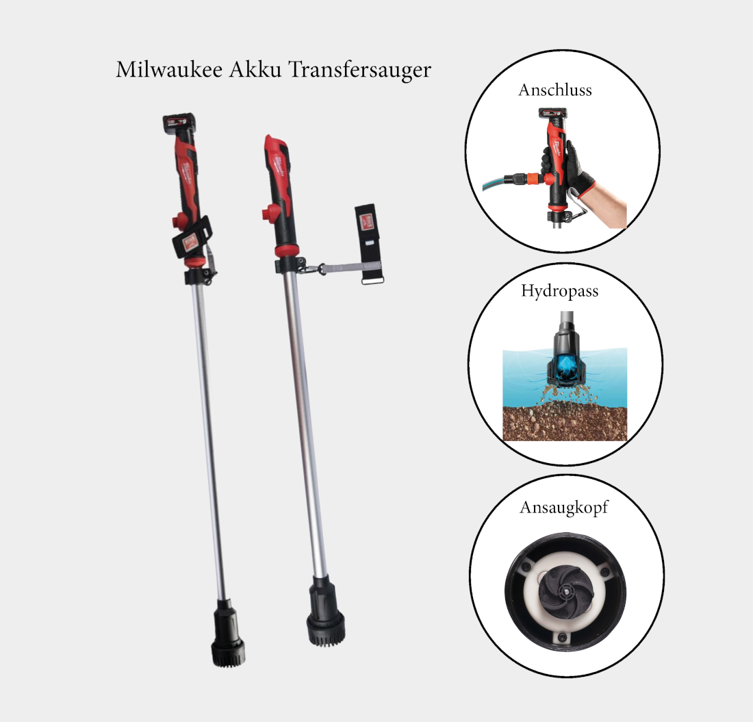 Milwaukee M12 BSWP-602 Akku Transferpumpe 12 V 34 l/min + 2x Akku 6,0 Ah +  Ladegerät